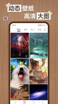 亚搏app登录入口截图