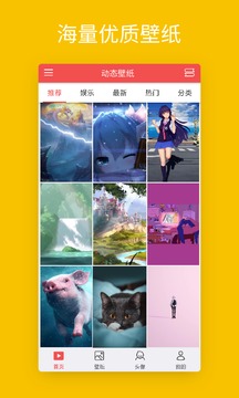 开云综合app截图